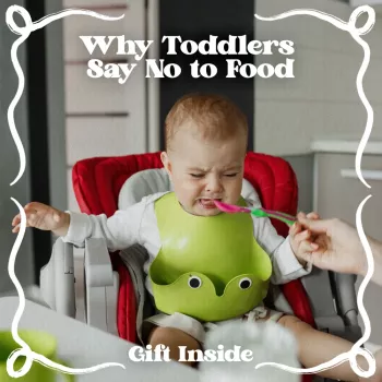 Toddler Refusing Meals? Why “No” Happens & What Helps