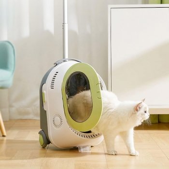 Space Capsule Cat Backpack Guide: Comfort & Safety